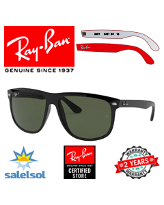 Ersatzbügel Ray-Ban 4147/Ersatzklingen