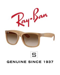 Original-Sonnenbrillen > Ray-Ban 4165 · Justin 6814/13