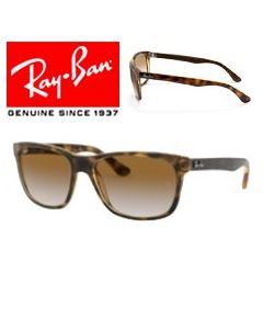 Ersatzbügel/Ersatzklingen Ray-Ban 4181