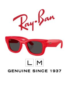 Original-Sonnenbrillen > Ray-Ban 4940 - Puffer 6831/87