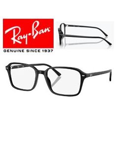2x Original-Ersatzbügel > Ray-Ban 5431 · Raimond
