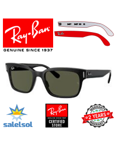 2x Original-Ersatzbügel > Ray-Ban 2190