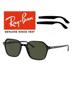 2x Original-Ersatzbügel > Ray-Ban 2194
