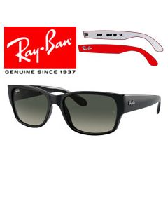 2x Original-Ersatzbügel > Ray-Ban 4388